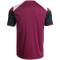 JOMA Danubio Trikot 653 - weinrot S