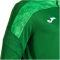JOMA Championship VIII Trainingsanzug Kinder 451 - grün/schwarz 164