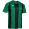 JOMA Inter IV Trikot 451 - grün/schwarz S