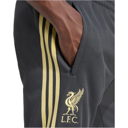 adidas FC Liverpool LFSTLR Trainingshose 2025/26 Herren