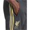 adidas FC Liverpool LFSTLR Trainingshose 2025/26 Herren