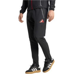 adidas FC Liverpool Competition Vis Tech Trainingshose 2025/26 Herren
