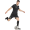adidas Originals Juventus Turin Authentic Ausweichtrikot 2025/26 Herren