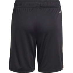 adidas Originals FC Bayern München Ausweichshorts 2025/26 Herren