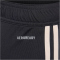 adidas Originals FC Bayern München Ausweichshorts 2025/26 Herren
