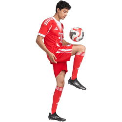 adidas FC Bayern München Heimshorts 2025/26 Herren
