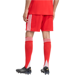 adidas FC Bayern München Heimshorts 2025/26 Herren