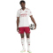 adidas Originals FC Arsenal Ausweichshorts 2025/26 Herren