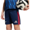 adidas FC Arsenal Auswärtsshorts 2025/26 Jungen