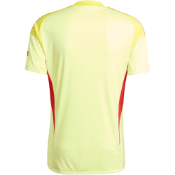 adidas FC Arsenal Torwart Heimtrikot 2025/26 Herren