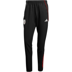 adidas Ajax Amsterdam Präsentationshose 2025/26 Herren