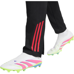 adidas Ajax Amsterdam Präsentationshose 2025/26 Herren