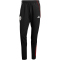 adidas Ajax Amsterdam Präsentationshose 2025/26 Herren