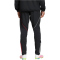 adidas Ajax Amsterdam Präsentationshose 2025/26 Herren