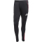 adidas Ajax Amsterdam Trainingshose 2025/26 Herren