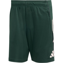 adidas Juventus Turin European Trainingsshorts 2025/26 Herren