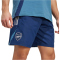 adidas FC Arsenal Downtime Sweatshorts 2025/26 Herren
