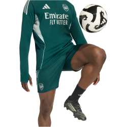 adidas FC Arsenal Trainingsshorts 2025/26 Herren