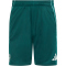adidas FC Arsenal Trainingsshorts 2025/26 Herren