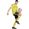 adidas Al Nassr FC Heimtrikot 2025/26 Herren