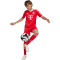 adidas Originals FC Bayern München Ausweich Torwartshorts 2025/26 Kinder
