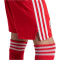 adidas Originals FC Bayern München Ausweich Torwartshorts 2025/26 Kinder