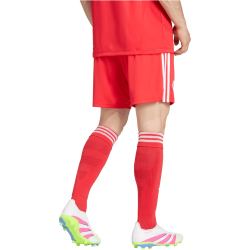 adidas Originals FC Bayern München Ausweich Torwartshorts 2025/26 Herren