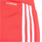 adidas Originals FC Bayern München Ausweich Torwartshorts 2025/26 Herren