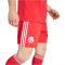 adidas Originals FC Bayern München Ausweich Torwartshorts 2025/26 Herren