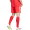 adidas Originals FC Bayern München Ausweich Torwartshorts 2025/26 Herren