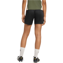 adidas FC Bayern München European Trainingsshorts 2025/26 Damen