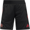 adidas FC Bayern München European Trainingsshorts 2025/26 Damen