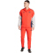 adidas FC Bayern München Präsentationsjacke 2025/26 Herren