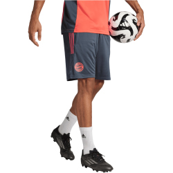 adidas FC Bayern München Trainingsshorts 2025/26 Herren