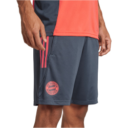 adidas FC Bayern München Trainingsshorts 2025/26 Herren