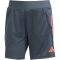 adidas FC Bayern München Trainingsshorts 2025/26 Damen