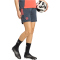 adidas FC Bayern München Trainingsshorts 2025/26 Damen