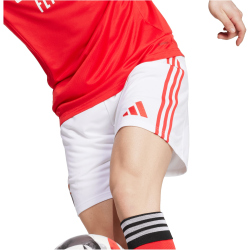 adidas SL Benfica Lissabon Heimshorts 2025/26 Herren