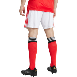 adidas SL Benfica Lissabon Heimshorts 2025/26 Herren