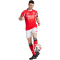 adidas SL Benfica Lissabon Heimshorts 2025/26 Herren