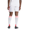 adidas Olympique Lyon Heimshorts 2025/26 Herren
