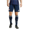 adidas Olympique Lyon Auswärtsshorts 2025/26 Herren