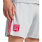 adidas Olympique Lyon Ausweichshorts 2025/26 Herren
