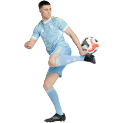 adidas Juventus Turin Authentic Auswärtstrikot 2025/26 Herren