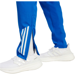 adidas Real Madrid European Präsentationshose 2025/26 Herren