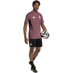 adidas Real Madrid Trainingsshorts 2025/26 Herren