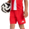 adidas FC Bayern München Heim-Minikit 2025/26 Kinder