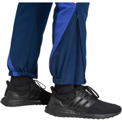 adidas Olympique Lyon UBP Trainingshose 2025/26 Herren