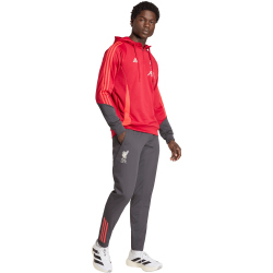 adidas FC Liverpool Trainings-Hoodie 2025/26 Herren
