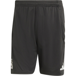 adidas FC Liverpool European Trainingsshorts 2025/26 Herren